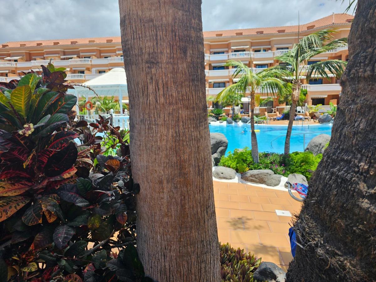 Tenerife Holidays Deluxe, Royal Garden, Las Americas Playa de las Americas  Exteriér fotografie